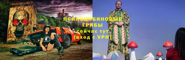 круглые Белокуриха